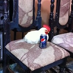 Michael with a chicken in Cabañas, La Paz, Honduras